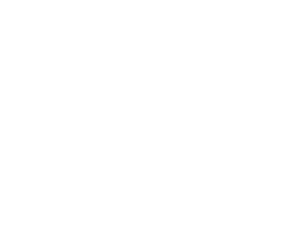 ws-logo-weiss